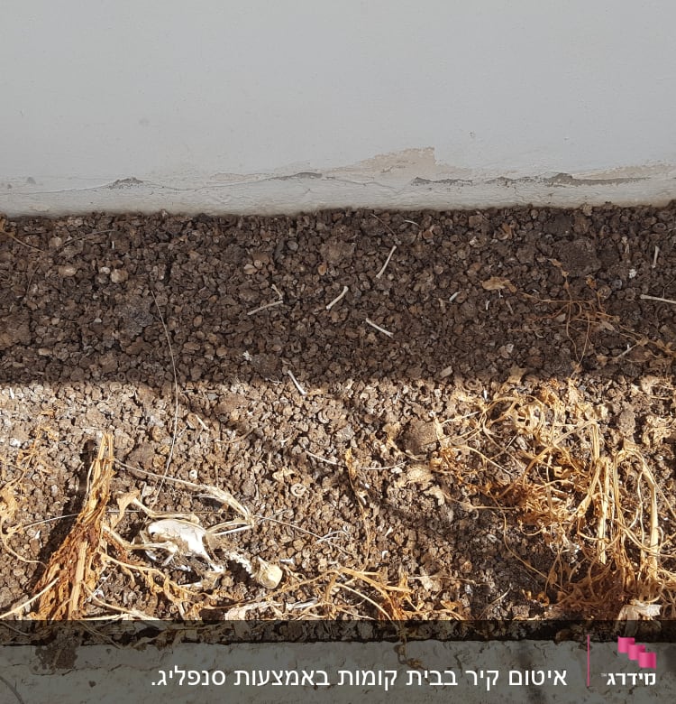 אדמה יבשה עם שורשים יבשים ועצמות קטנות